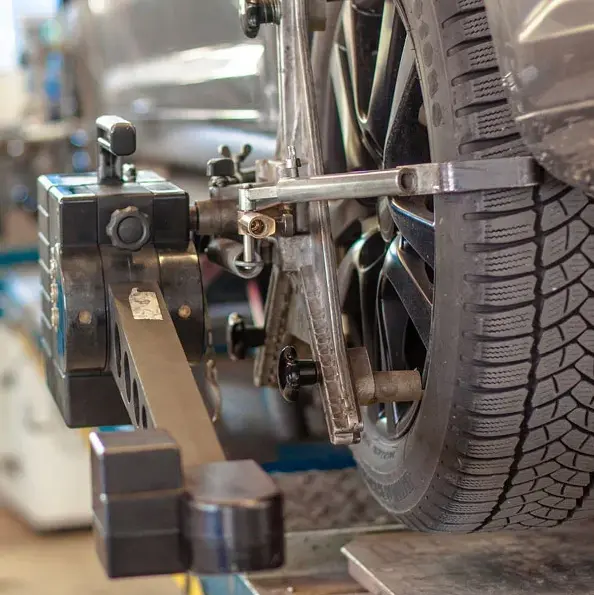 Alessandra - Proprietaria Edonoleggio